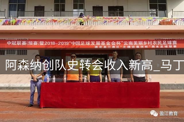阿森纳创队史转会收入新高 马丁内利将超张伯伦纪录